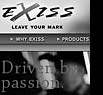 Web Design for Exiss